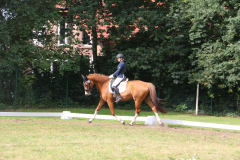 IMG_2745