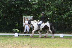 IMG_3562
