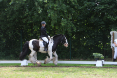 IMG_3586