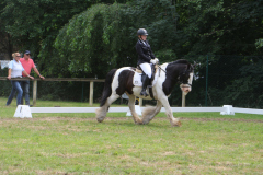 IMG_3591